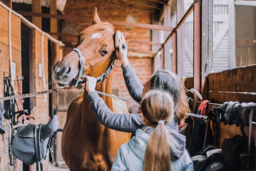 Varför stalltäcke för hästar är en nödvändighet