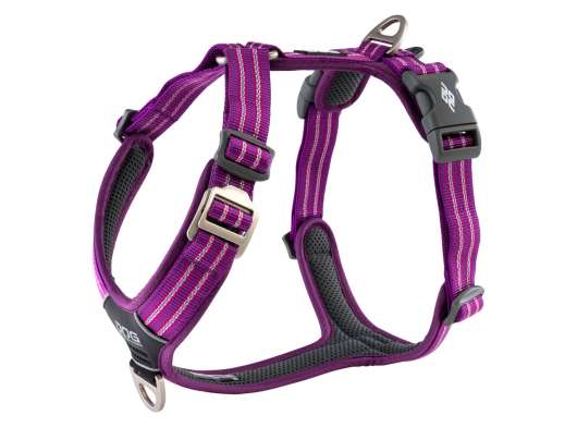 Comfort Walk Air Harness - Purple Passion