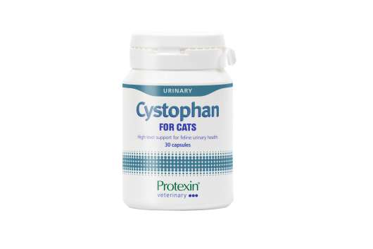 Cystophan - 240 st kapslar